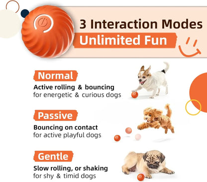 Interactive Dog Dog Balls, 2.7Inmoving Dog Ball, Durable Motion Activated Automatic Rolling Ball , USB Rechargeable Outdoor Pet Toy-Gttq