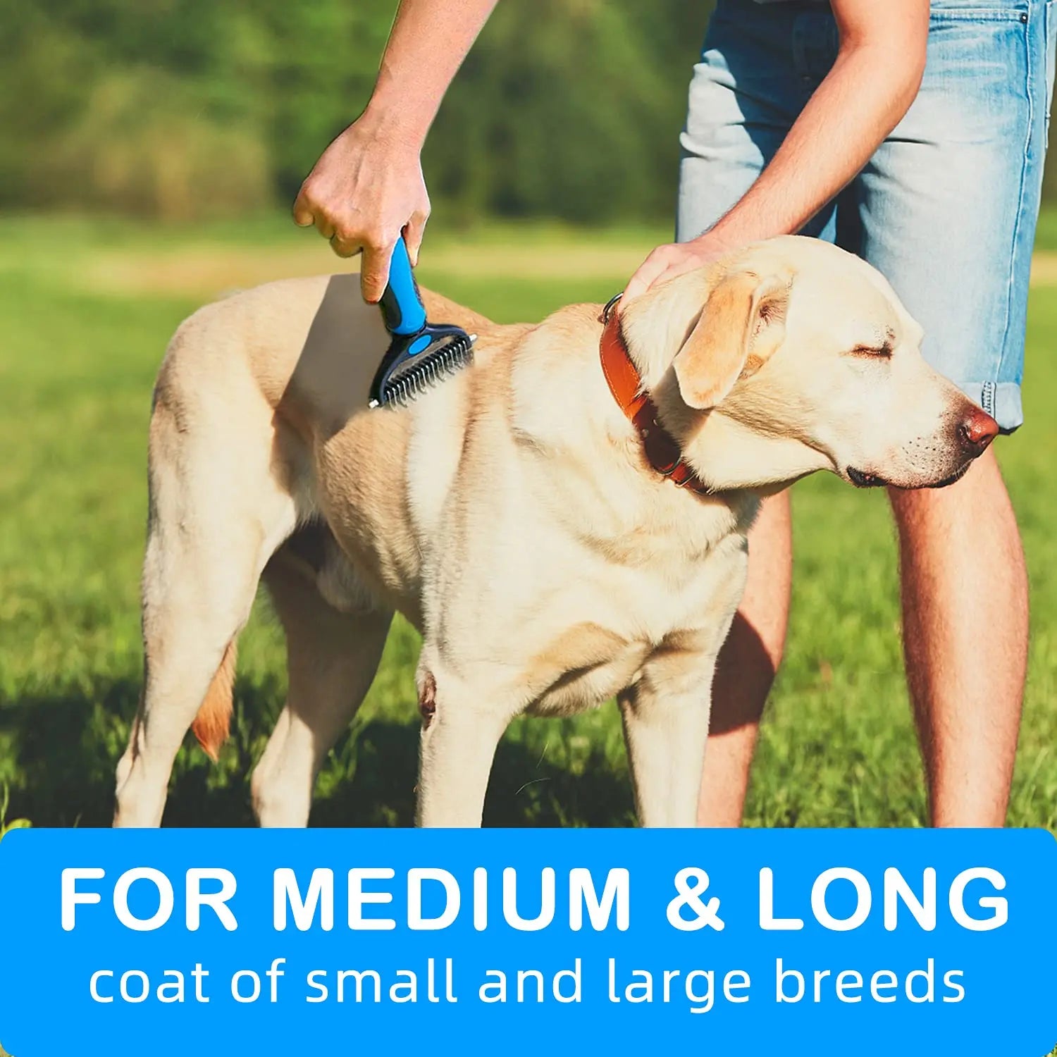 Dual-Sided Undercoat Rake and Grooming Brush for Dogs and Cats - Essential Tool for Shedding, Dematting, and Tangle Removal