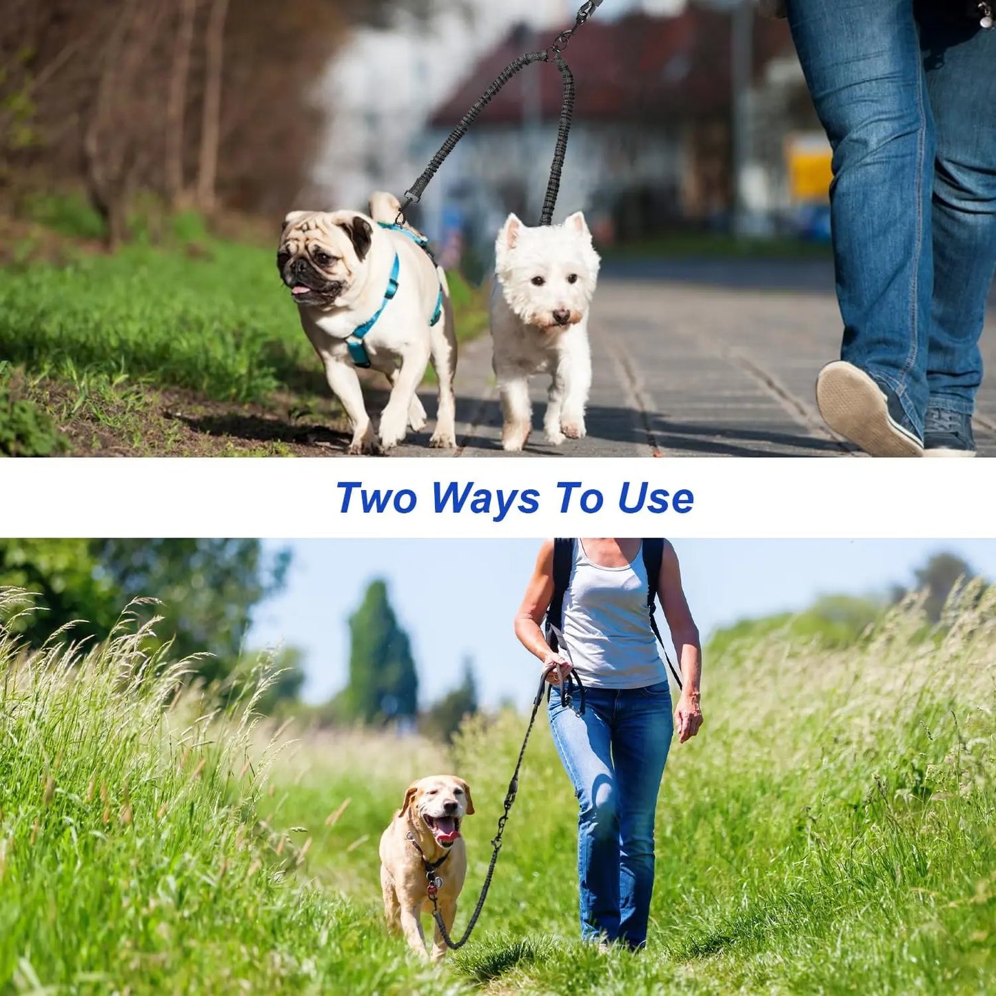 Pipidodo Dual Dog Leash with Shock Absorption, Tangle-Free 360° Swivel, and Comfortable Padded Handle for No-Pull Walking of Two Dogs