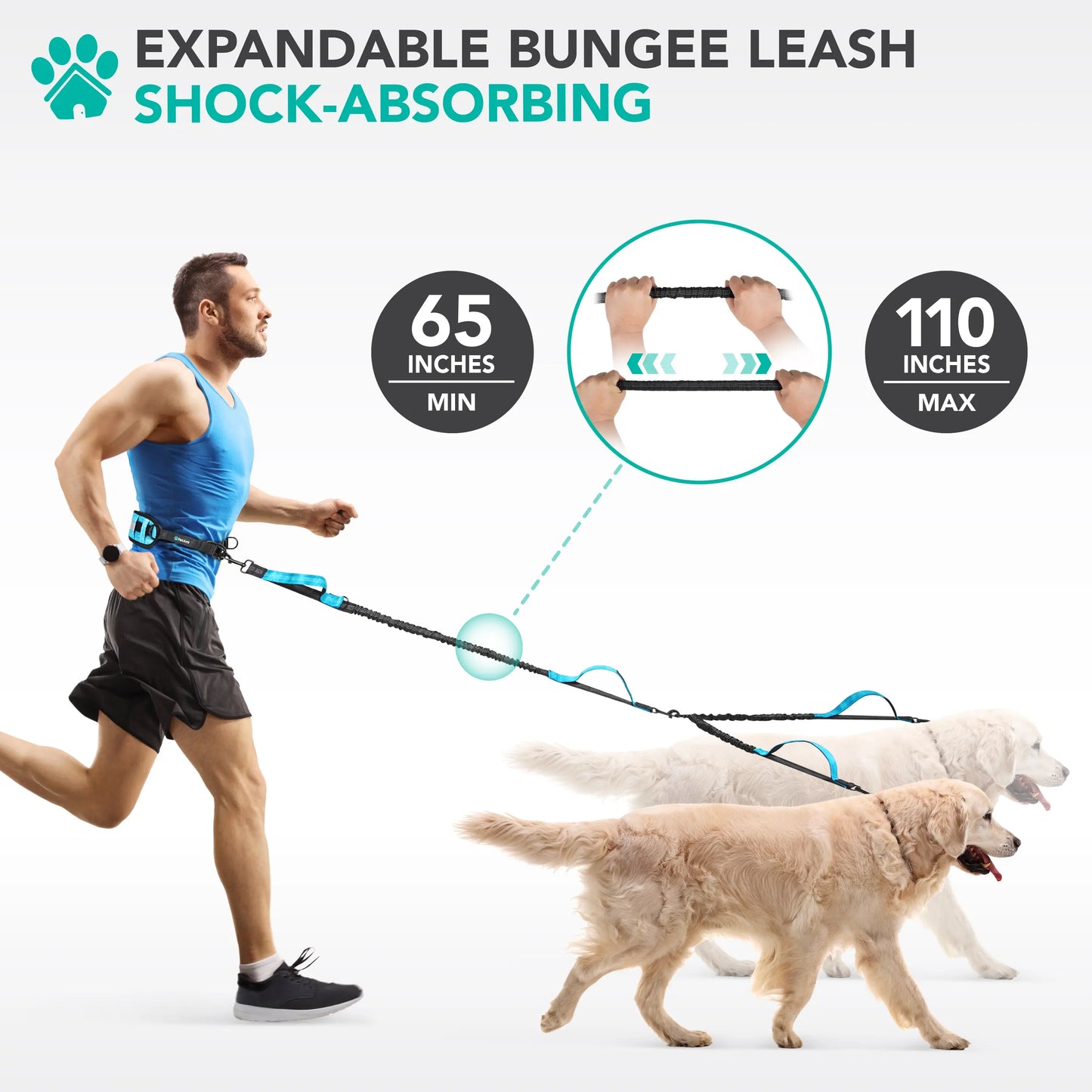 Petami Heavy-Duty Double Dog Leash with 360-Degree Swivel No-Tangle Coupler, Shock-Absorbing Bungee, Padded Handles, and Reflective Features for Medium and Large Dogs
